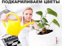 Подкормка-цветов.jpg