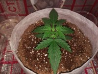 photo_2019-02-10_10-59-27 (2).jpg