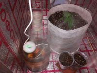 photo_2019-02-10_10-59-32 (2).jpg