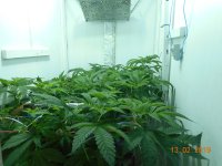 talib14.02.18 002.JPG talib14.02.18 002.JPG