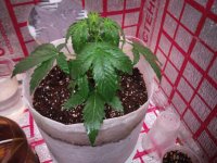 photo_2019-02-17_12-22-55 (2).jpg