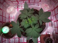 photo_2019-02-17_12-22-55 (3).jpg