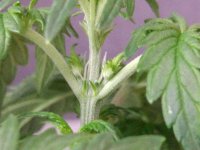 photo_2019-02-17_12-22-56 (2).jpg