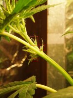 2019 02 19a (11).jpg