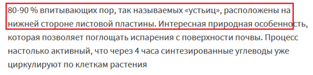 80-90 % впитывающих пор, так называемых «устьиц», расположены на нижней стороне листовой пласт...png