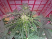 photo_2019-02-24_15-37-27 (2).jpg