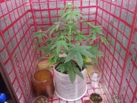 photo_2019-02-24_15-37-27 (3).jpg