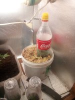 IMG_20190226_211727.jpg