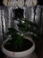 IMG_20190228_232337.jpg