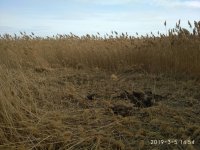 IMG-dfddcaad6feb8dd1e6ab4cecb2b46be5-V.jpg