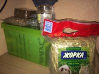 WhatsApp Image 2019-03-08 at 21.10.25.jpeg