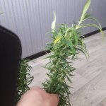 20190309_095954.jpg