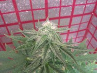 photo_2019-03-11_11-14-11 (3).jpg