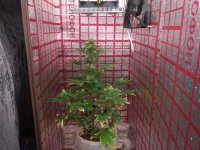 photo_2019-03-11_11-14-12 (2).jpg