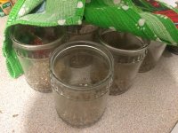 WhatsApp Image 2019-03-12 at 20.29.58 (1).jpeg