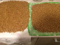 WhatsApp Image 2019-03-12 at 20.29.59.jpeg