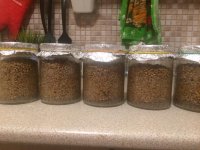 WhatsApp Image 2019-03-12 at 20.30.00.jpeg