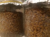 WhatsApp Image 2019-03-12 at 20.30.01.jpeg