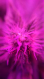 20190315_154517.jpg