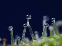 Без названия (1).jpg