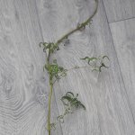 20190316_113957.jpg