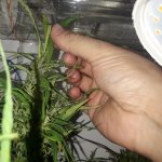 20190316_191149.jpg