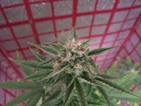 photo_2019-03-17_17-47-58 (2).jpg