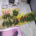 20190317_184726.jpg