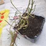 20190317_184839.jpg