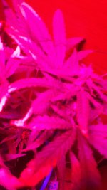 20190317_235945.jpg