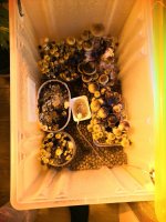 zpUddzg10Bs.jpg