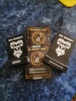 IMG_20181122_094727.jpg