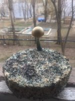 3769DDAF-4D4A-481D-BE87-9E5B90E5FE9C.jpeg