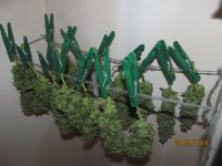 IMG_8544.JPG