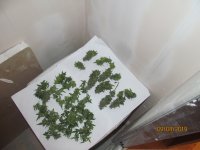 IMG_8545.JPG