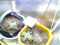 2019-03-18_18-22-45_644.jpg