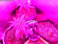 2019-03-31_00-48-22_371.jpg