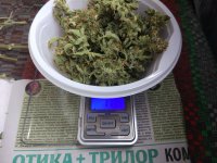 2019-04-11 09-22-35.JPG