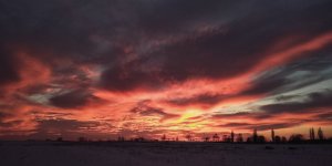 IMG_20190117_165115-01.jpeg