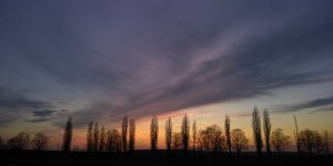 IMG_20190308_182213.jpg
