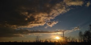 IMG_20190311_174257-01.jpeg