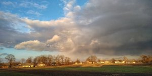 IMG_20190311_174224-01.jpeg
