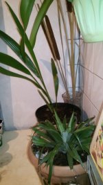 IMG-20190420-WA0000.jpg