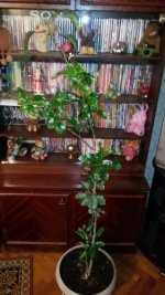 IMG-20190420-WA0004.jpg