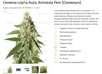 Семена сорта Auto Amnesia fem (Семяныч).png
