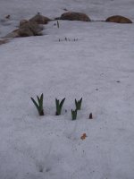 2019 04 21 (61).JPG