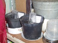 2019 04 21 (135).JPG