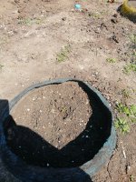IMG_20190423_121401.jpg