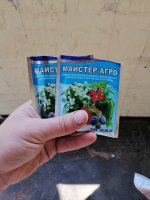 IMG_20190424_135413.jpg