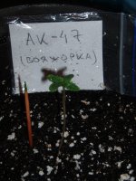 2019 04 25 (16).JPG